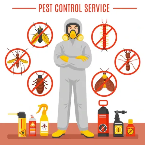 Affordable Eco-Friendly Pest Control: Safe and Natural Solutions for Your Home